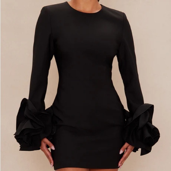 Fashion Nova Dresses & Skirts - Amora Long Sleeve Mini Dress - Black